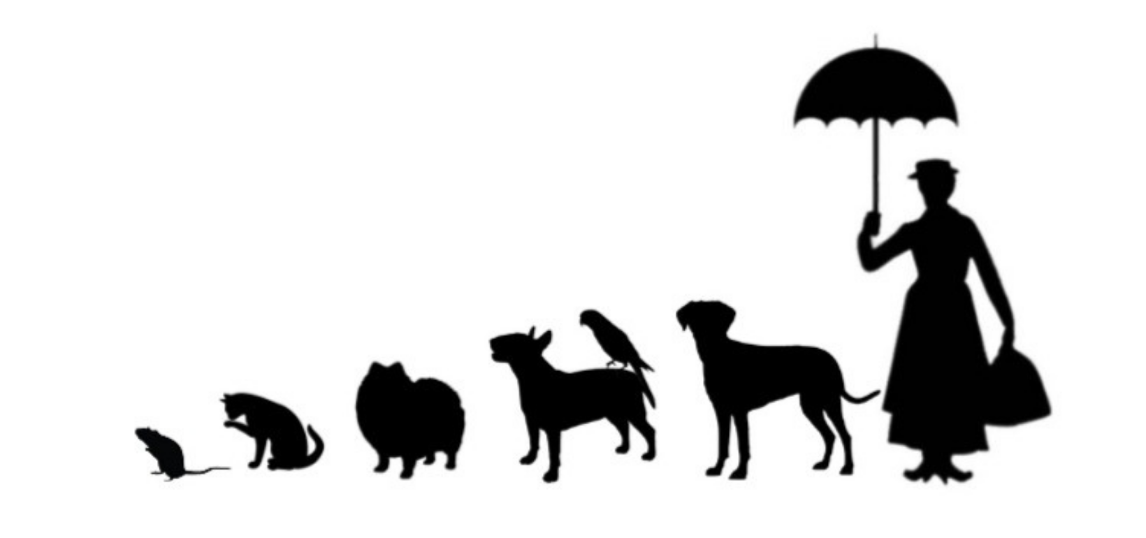 Pet Sitting by Cindy